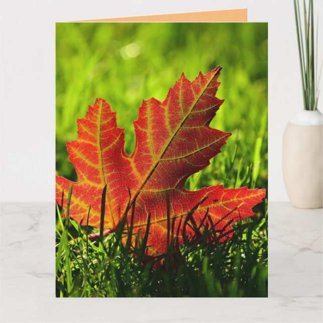 AUTUMN FALL BIRTHDAY GREETING CARD (Front)