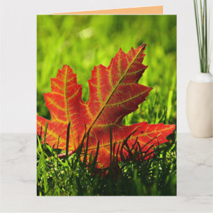 AUTUMN FALL BIRTHDAY GREETING CARD