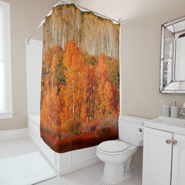 Autumn Fall Color Aspens Kolob Zion Shower Curtain (In Situ)