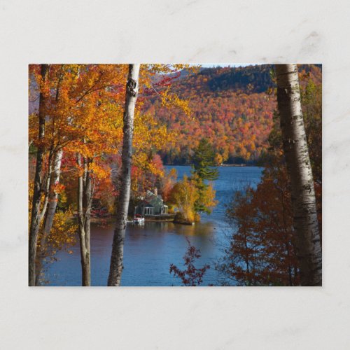 Autumn fall colors in New Hampshire Postcard