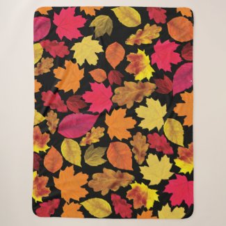Autumn Fall Colors Leaves Soft