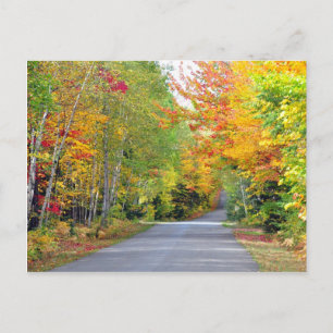 Autumn Fall Colors Road Quebec Canada Postcard