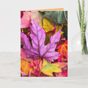 AUTUMN FALL LEAVES BIRTHDAY GREETING CARD