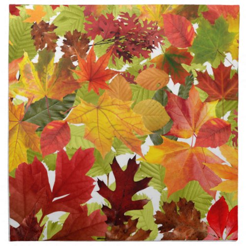 Autumn Fall Leaves Cloth Napkin