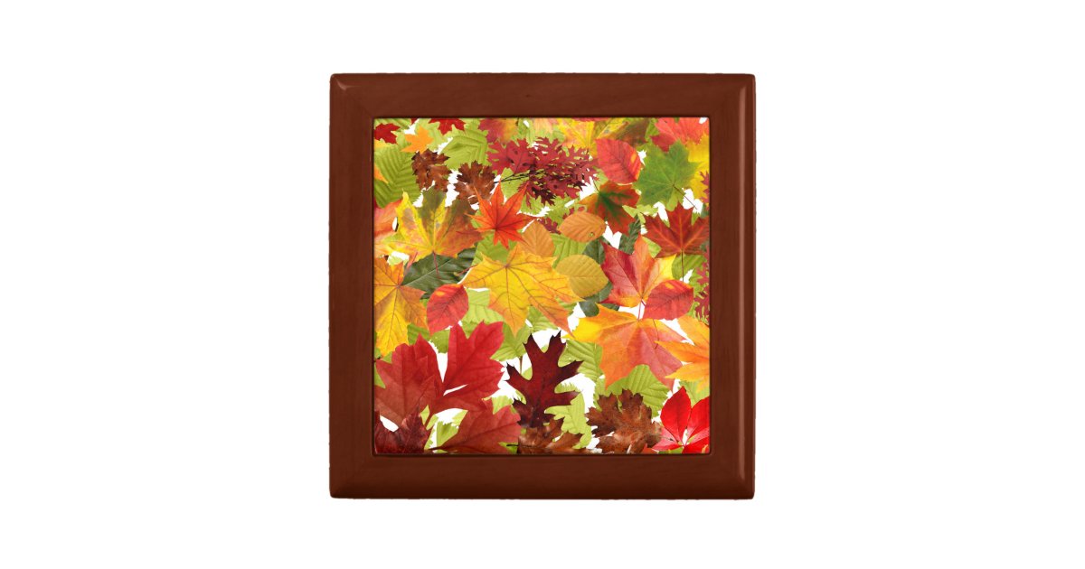 Autumn Fall Leaves Gift Box | Zazzle