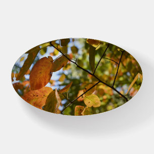 Autumn Fall Leaves Leaf Peeping Nature Photo Paperweight