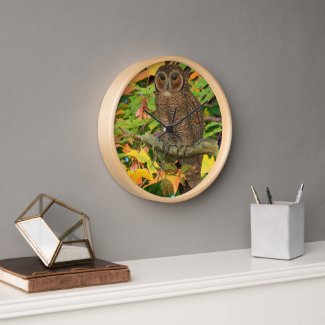 Autumn Fall Oak Leaves with Barred Owl Wall Clock
