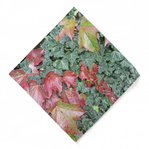 Autumn fall red green ivy leaves bandana