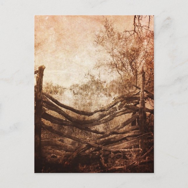 Autumn Fall rural landscape Rustic Farm Fence Postcard (Front)