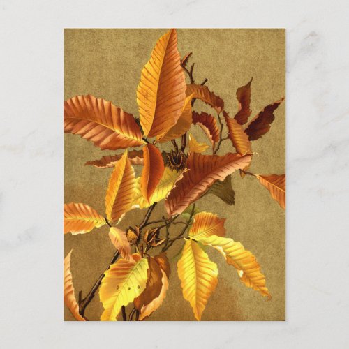 Autumn Fall Season Beech Leaves Holiday Postcard