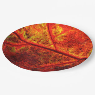 Autumn Fall Wedding Rustic Leaf Photo Close Up Paper Plates