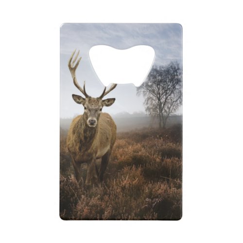 Autumn Fall with beautiful red deer stag Credit Card Bottle Opener