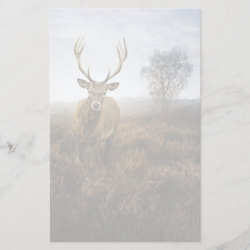Autumn Fall with beautiful red deer stag Stationery