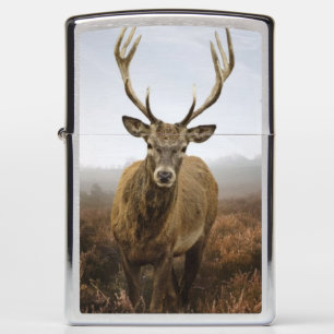 Autumn Fall with beautiful red deer stag Zippo Lighter