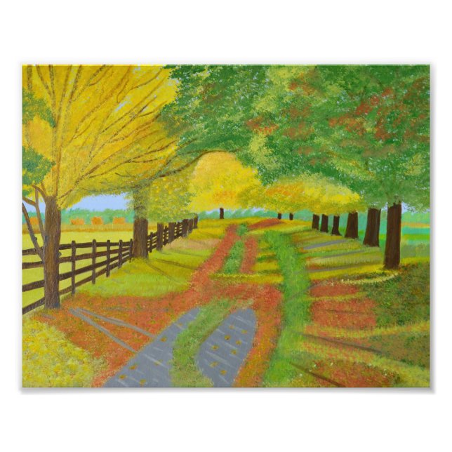 Autumn Fallen Leaves Photo Print (Front)