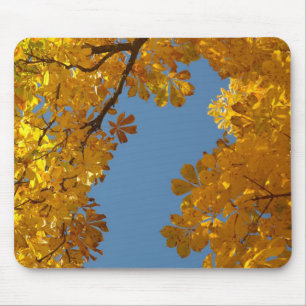 Autumn Falling Leaves Chestnut Tree Mouse Pad