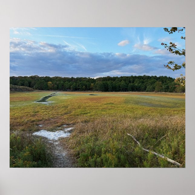  Autumn Field Photo Poster (Front)