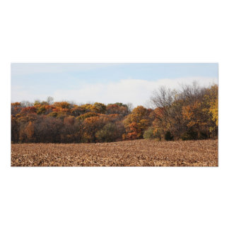 Autumn Field Photo Print