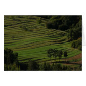 Autumn fields, Prem, Slovenia (Front Horizontal)