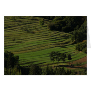 Autumn fields, Prem, Slovenia