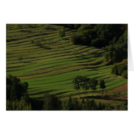 Autumn fields, Prem, Slovenia Cards (Front Horizontal)