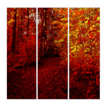 Autumn Fire Dreamer Forest Leaves