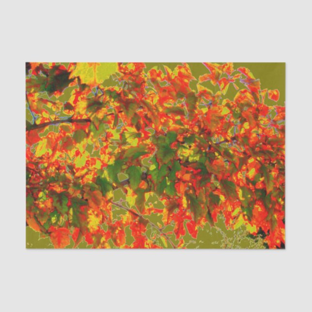 'Autumn Fire' Tissue Paper (Front)