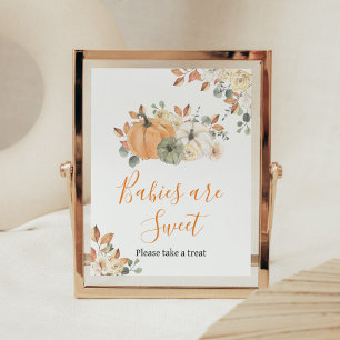 Autumn Floral Pumpkin Baby Shower Babies are Sweet Poster