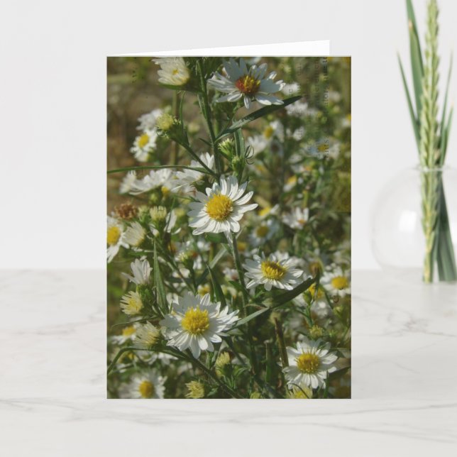 Autumn Flowers All Occasions  Card (Front)