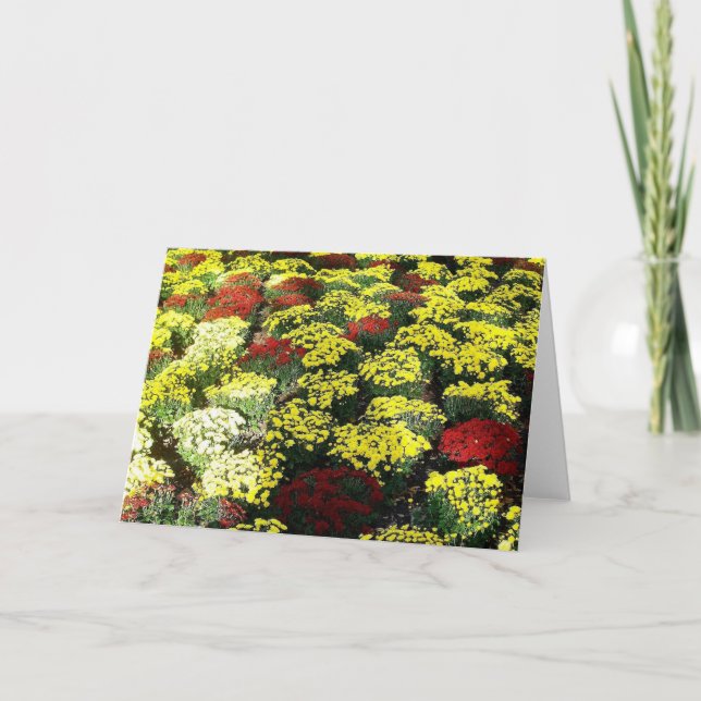 'Autumn Flowers'  Blank Greeting Card (Front)