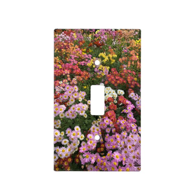 Autumn Flowers Dandelion Pink Orange Yellow Green Light Switch Cover (Front)