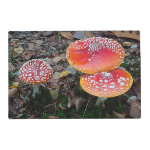 Autumn Fly Amanitas Placemat