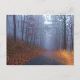 Autumn Fog Postcard