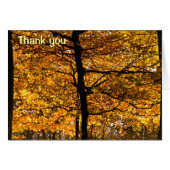 Autumn foliage (Front Horizontal)