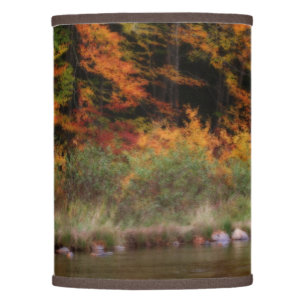Autumn Foliage Along River Orton Effect  Lamp Shade