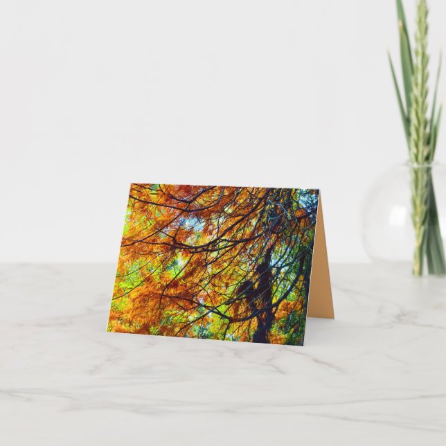 Autumn Foliage and Light Card (Front)
