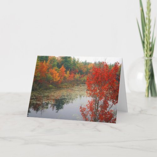 Autumn Foliage at Lake Card