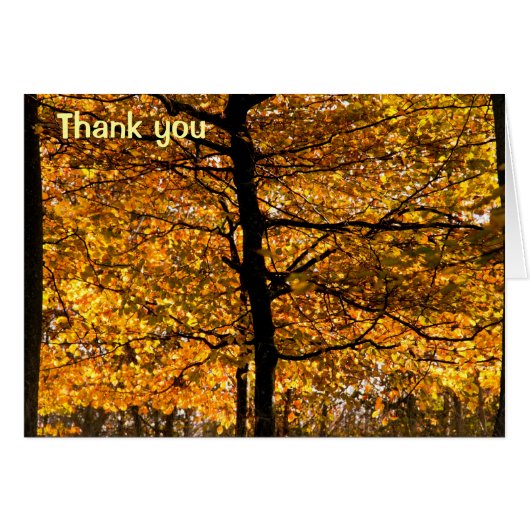 Autumn foliage cards (Front Horizontal)