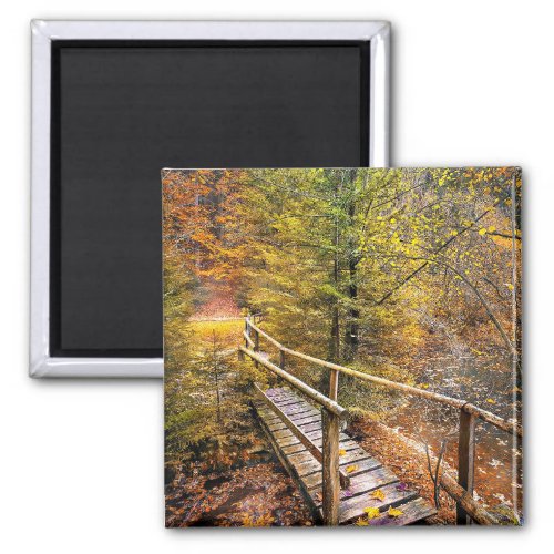 Autumn Foliage colors of fall Magnet