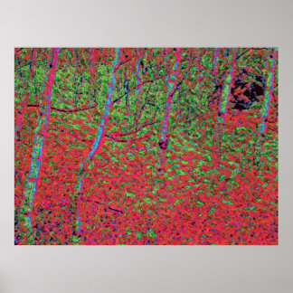 Autumn Foliage d5 Poster