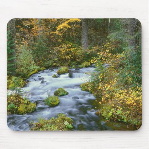 Autumn foliage  Douglas Fir Border Roaring River Mouse Pad