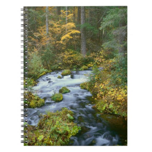 Autumn foliage  Douglas Fir Border Roaring River Notebook