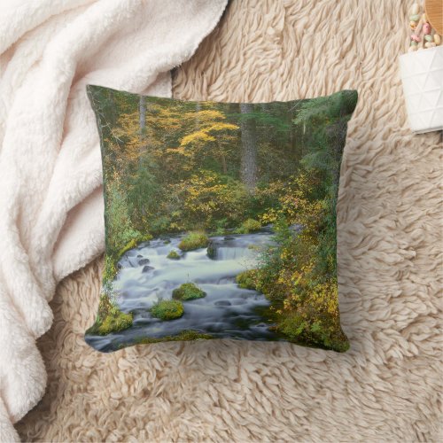 Autumn foliage  Douglas Fir Border Roaring River Throw Pillow