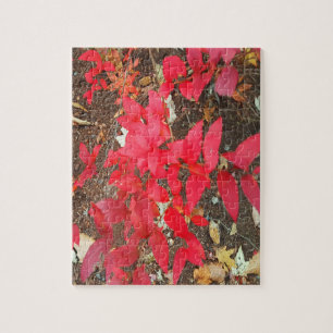 Autumn Foliage Fall Colors Photo Jigsaw Puzzle