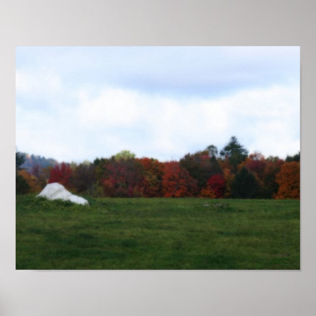 Autumn Foliage Field Rock Nature Orton Art Poster (Front)