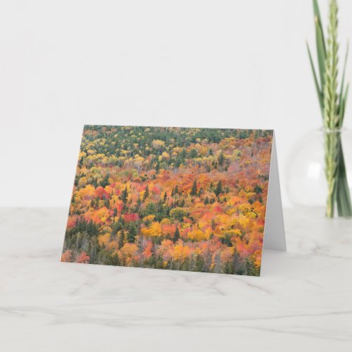 Autumn Foliage  Keweenaw Peninsula Michigan Card