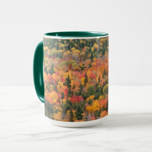 Autumn Foliage  Keweenaw Peninsula Michigan Mug