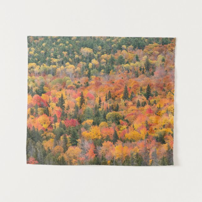 Autumn Foliage | Keweenaw Peninsula, Michigan Tapestry (Front (Horizontal))