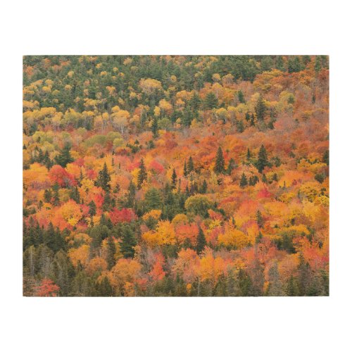 Autumn Foliage  Keweenaw Peninsula Michigan Wood Wall Art