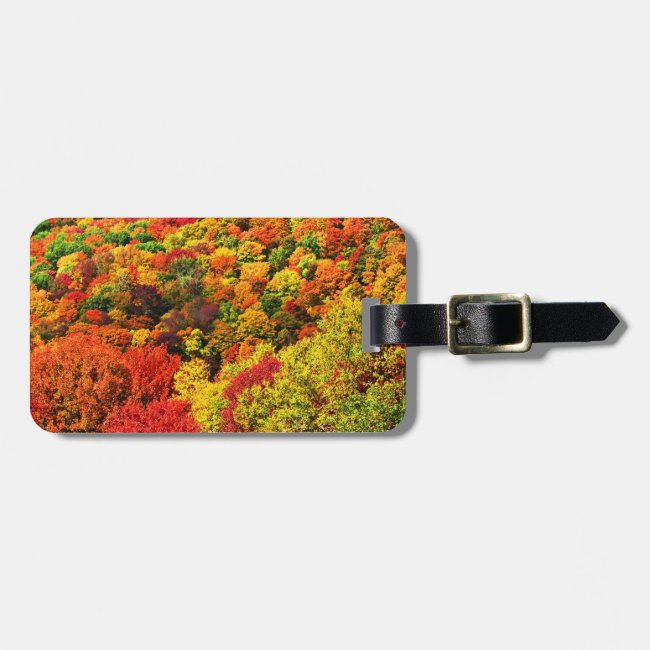 Autumn Foliage Luggage Tag
